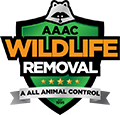 The Villages Wildlife Removal